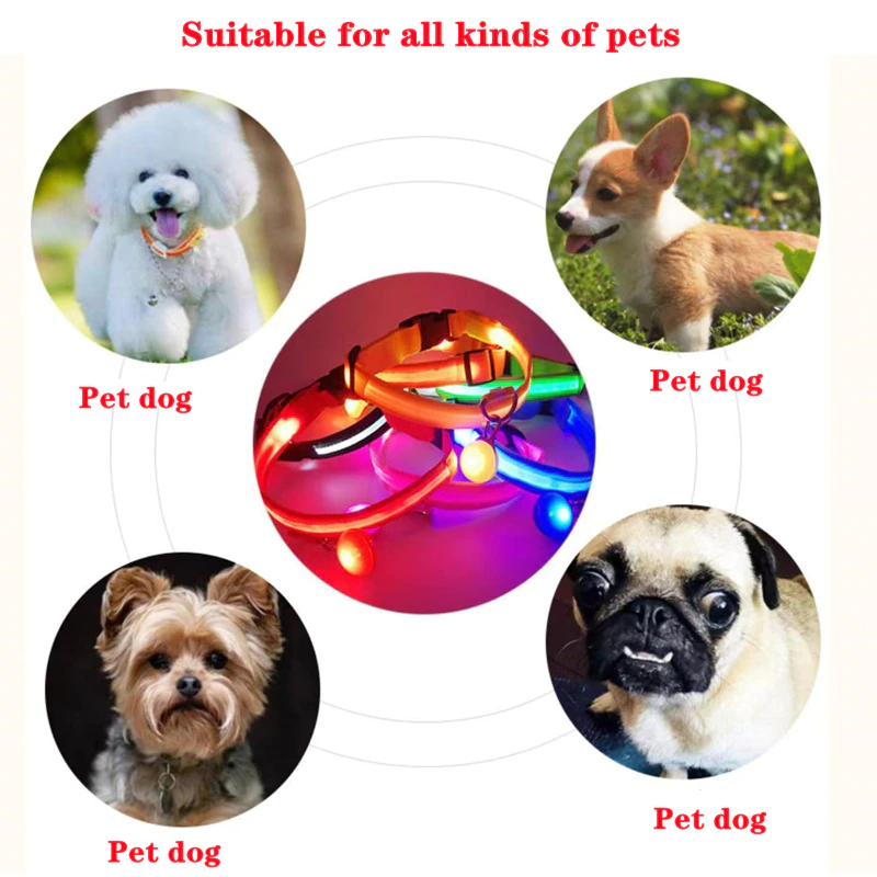 Waterproof LED Safety Dog Collar
