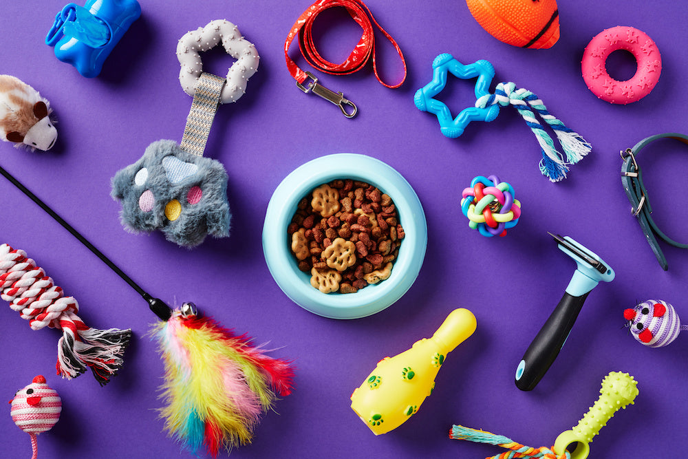 Dog Supplies
