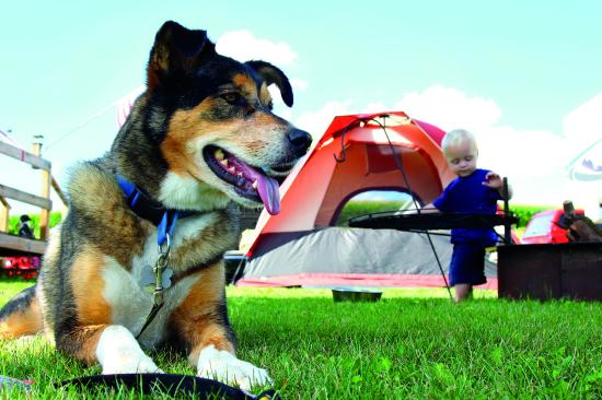Pet Travels & Outdoor