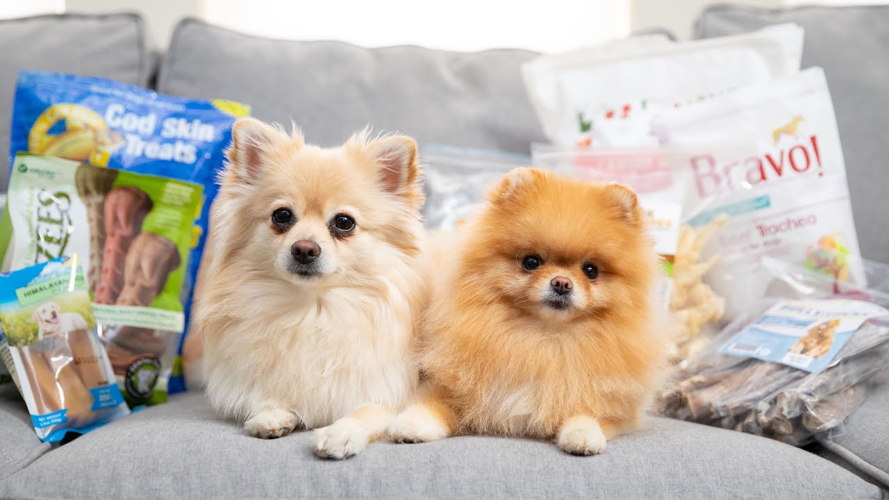 Pet Food & Treats